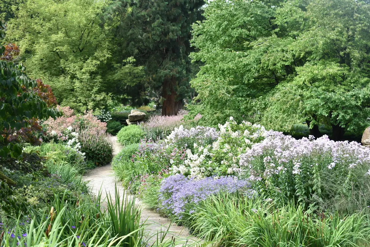 Pale purple phlox spilling over a gravel path
