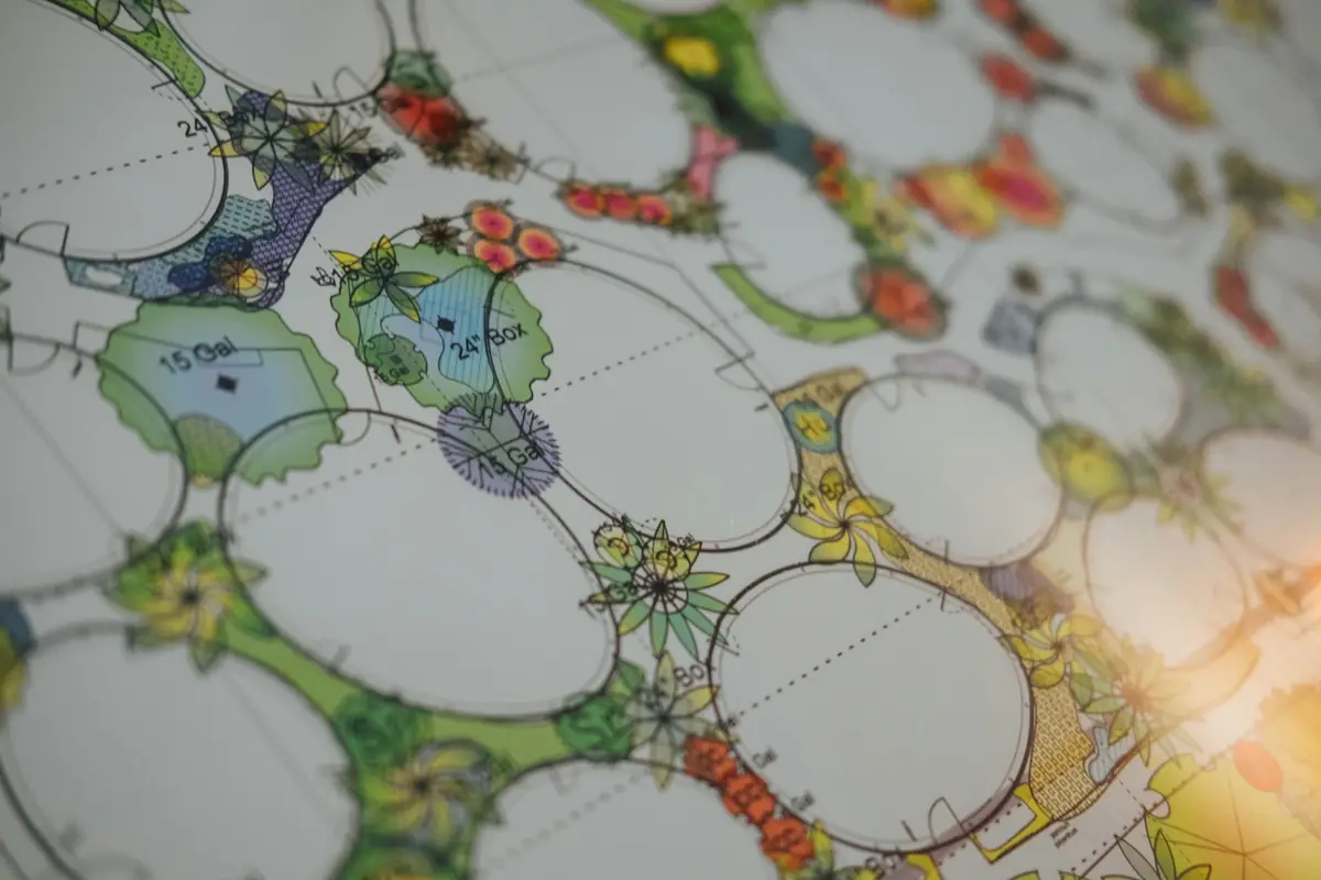 Hand-drawn garden plan with circles marking planting groups